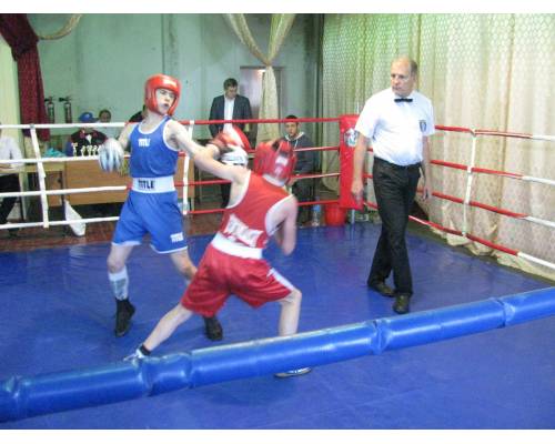 Боксерський турнір у місті Люботині