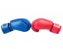 Більше 100 боксерів зійдуться у боях на турнiрі у Люботині