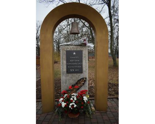14 грудня Україна вшановує учасників ліквідації аварії на Чорнобильській АЕС.
