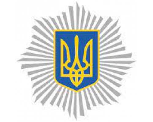 Відсьогодні у МВС запрацював сервіс, за допомогою якого громадяни України можуть онлайн отримати витяг про відсутність судимості