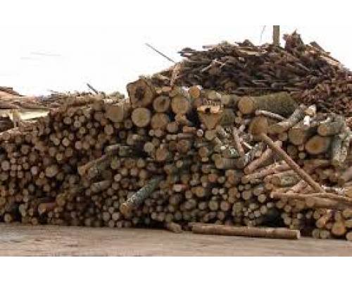 Роз’яснення щодо забезпечення мешканців громади та ВПО дровами на опалюваньний сезон