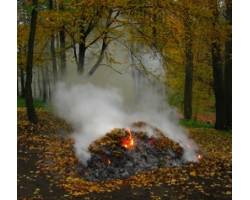 Згідно кодексу України про адміністративні правопорушення за самовільне спалювання опалого листя на громадян накладається штраф від 340 до 1360 грн.